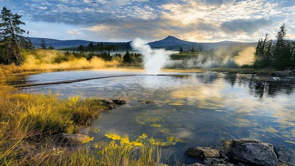 Complete Guide to Yellowstone National Park: Geysers, Wildlife, and Trails